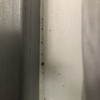 Marion Motor Lodge - Scat, bed bug exoskeletons, and blood on bed frame. - Hotels Near Me - Saint Augustine, Florida Marion Motor Lodge - Scat, bed bug exoskeletons, and blood on bed frame. - Hotels Near Me - Saint Augustine, Florida