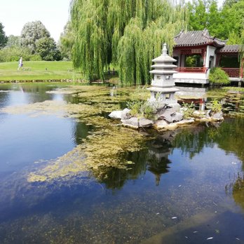 Chinesisches Teehaus - See - Tea Rooms Near Me - Berlin, BE