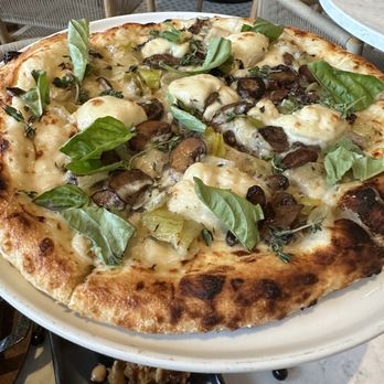 PLANTA Brentwood - LEEK BIANCA PIZZA - Asian Fusion Near Me - Los Angeles, California PLANTA Brentwood - LEEK BIANCA PIZZA - Asian Fusion Near Me - Los Angeles, California