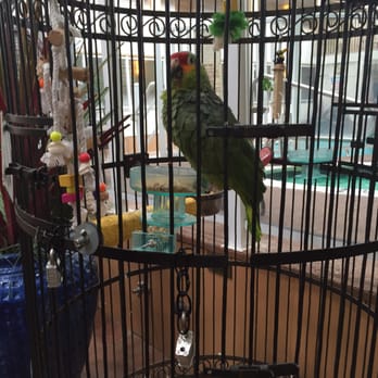 Quality Inn Oceanfront - His name is Coconut! - Hotels Near Me - Ocean City, Maryland