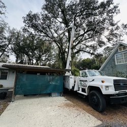 Henshaws Tree Service - Trimming the large live oak tree over the guest house