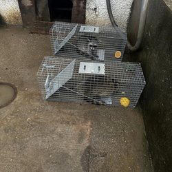 JPC Exterminating