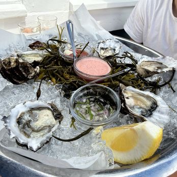 Scoma's of Sausalito - Hog Island Oysters* - Seafood Near Me - Sausalito, California Scoma's of Sausalito - Hog Island Oysters* - Seafood Near Me - Sausalito, California