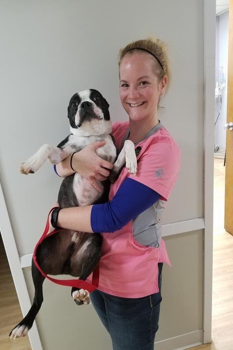Meier Veterinary Clinic Image