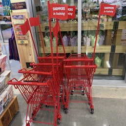 Shoppers in training mini kids carts