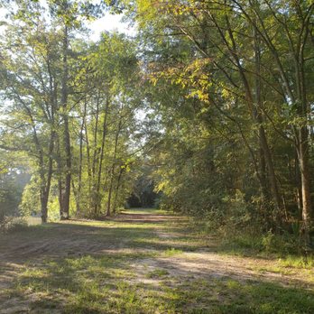 Kickerillo-Mischer Preserve - off the paved path - Parks Near Me - Houston, Texas