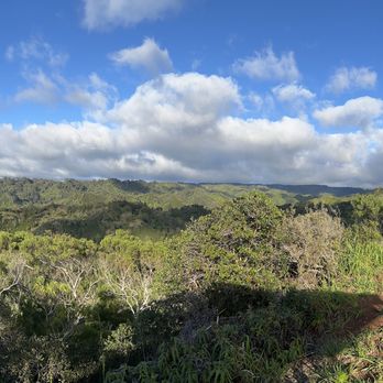 North Shore EcoTours - Hiking Near Me - Haleiwa, Hawaii North Shore EcoTours - Hiking Near Me - Haleiwa, Hawaii