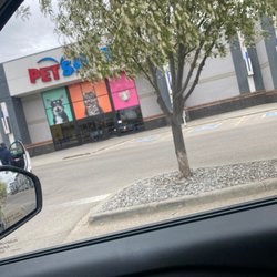 PetSmart Dog Training