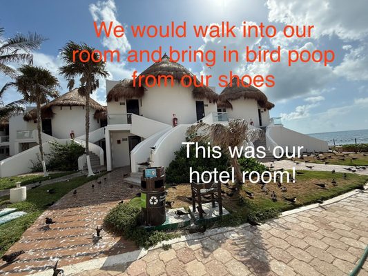 Mia Reef Isla Mujeres by null