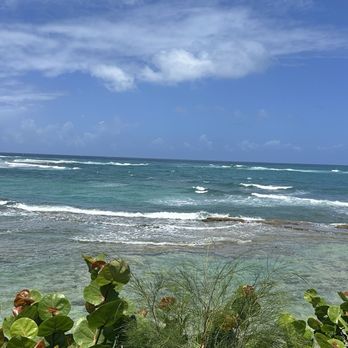 The Reef Bar - Bars Near Me - Pinones, Puerto Rico