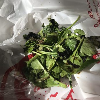 Wendy's - Chicken apple pecan salad. Does this look fresh? - Fast Food Near Me - Port Orange, Florida Wendy's - Chicken apple pecan salad. Does this look fresh? - Fast Food Near Me - Port Orange, Florida