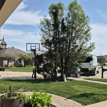 Tree Top Tree Service - Cutting down with chain saws and removing 4 bushes from neighbors house then into chipper machine.  6/7/2025 - Tree Services Near Me - Macomb, Michigan