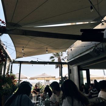 Fig Tree - Cafes Near Me - Los Angeles, California Fig Tree - Cafes Near Me - Los Angeles, California
