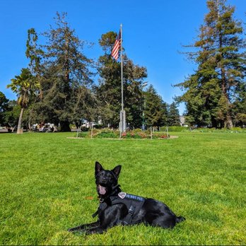 JPK9 - Pet Training Near Me JPK9 - Pet Training Near Me