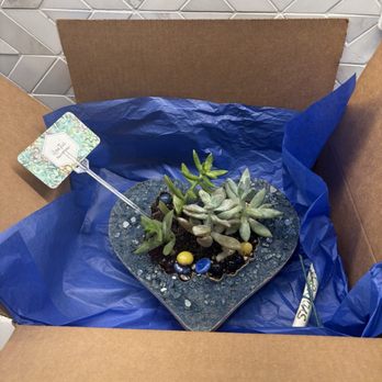 ILoveTus Succulents - Nurseries & Gardening Near Me - Los Angeles, California