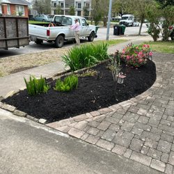 Houston Lawn Care & Tree Service