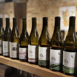 Waterford Wine And Spirits - One of our wine tasting seminars