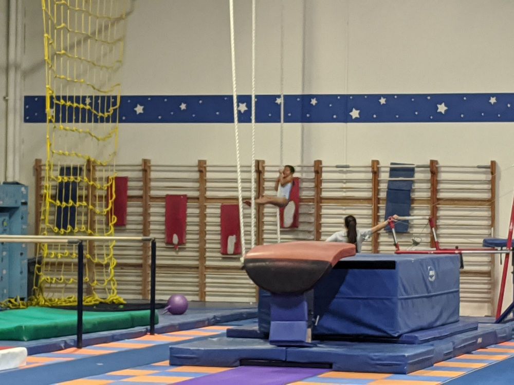 WINNER’S ACADEMY OF GYMNASTICS 196 Photos & 73 Reviews 13540 Monte