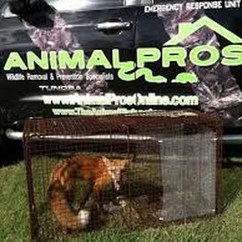Animal Pros - Wildlife Removal Nashville - Wildlife Control Near Me - Hendersonville, Tennessee