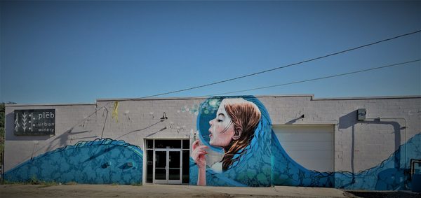 plēb urban winery by null