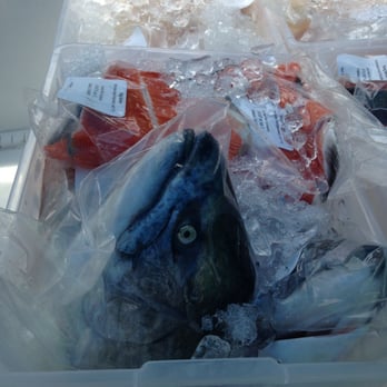 Sunrise Fish Company - a plastic container filled with fresh fish - Seafood Markets Near Me - Berkeley, California Sunrise Fish Company - a plastic container filled with fresh fish - Seafood Markets Near Me - Berkeley, California