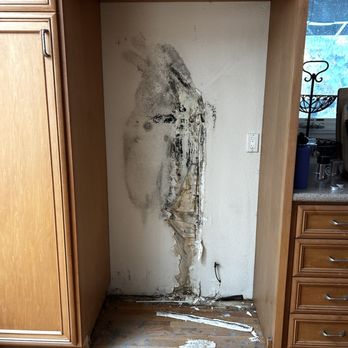 US Creative Restoration - Found water damage and molds on Friday - Damage Restoration Near Me - Campbell, California US Creative Restoration - Found water damage and molds on Friday - Damage Restoration Near Me - Campbell, California