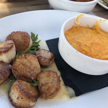 Down Under Restaurant - Scallops and cheesy grits - Seafood Near Me - Fernandina Beach, Florida Down Under Restaurant - Scallops and cheesy grits - Seafood Near Me - Fernandina Beach, Florida