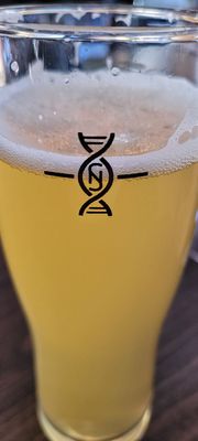 Novel Strand Brewing Company by null