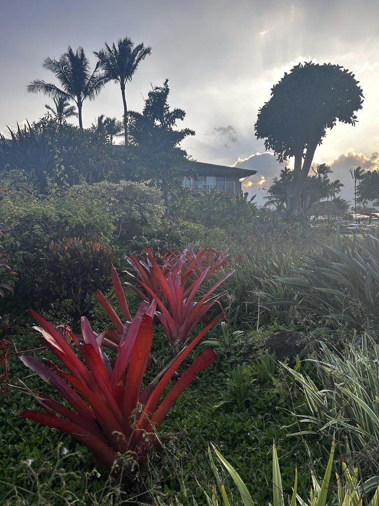 Kauai Coast Resort at the Beachboy
