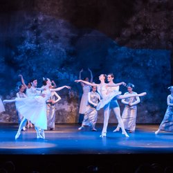 Artistic Motion School of Arts - Nutcracker 2019
