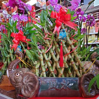 Oakland Chinatown - Happy Lunar New Year! - Local Flavor Near Me - Oakland, California Oakland Chinatown - Happy Lunar New Year! - Local Flavor Near Me - Oakland, California