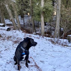 Zander Dog Park - Off leash dog park