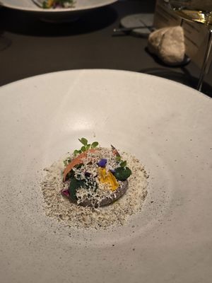 Rutz by null Rutz by null