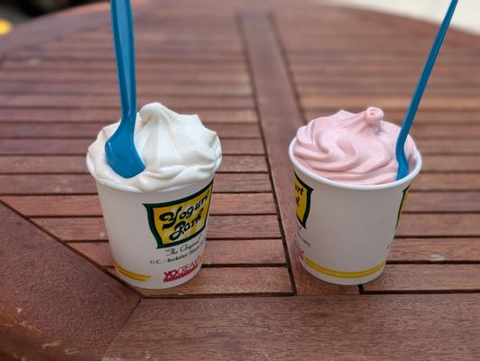 Yogurt Park by null