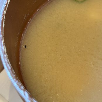 Katsu Gin - Japanese Curry Near Me - Milpitas, California