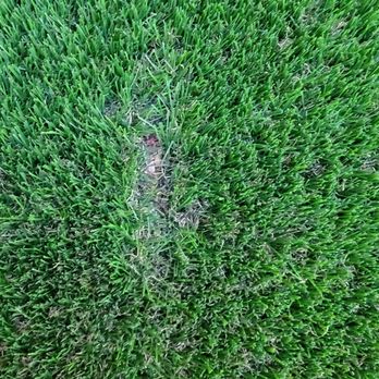 Lobos Landscaping - an aerial view of a green lawn - Landscaping Near Me