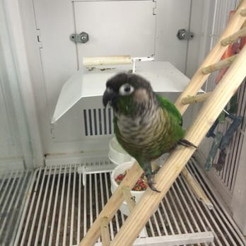 Petco - Pet Stores Near Me - San Jose, California