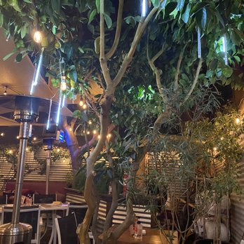 Tarantella on 4th - Beautiful back patio - Italian Near Me - Long Beach, California Tarantella on 4th - Beautiful back patio - Italian Near Me - Long Beach, California