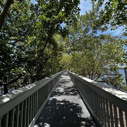 North Bayshore William Lehman Park - Boardwalk