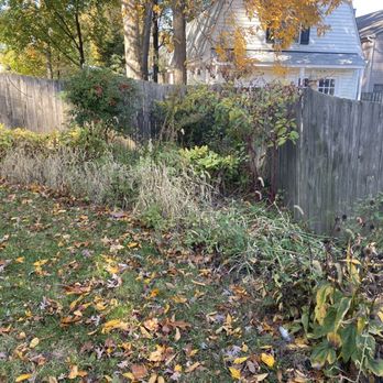 Silas Landscaping & Cleaning Services - Before - backyard - Landscaping Near Me Silas Landscaping & Cleaning Services - Before - backyard - Landscaping Near Me