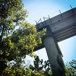Bridges To The Past - Bridge of the Past.