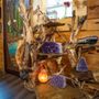 Photo of Earth Shop