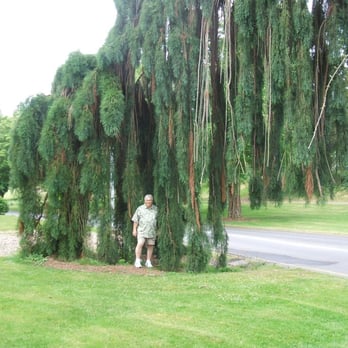 Point Defiance Park - Parks Near Me - Tacoma, Washington Point Defiance Park - Parks Near Me - Tacoma, Washington