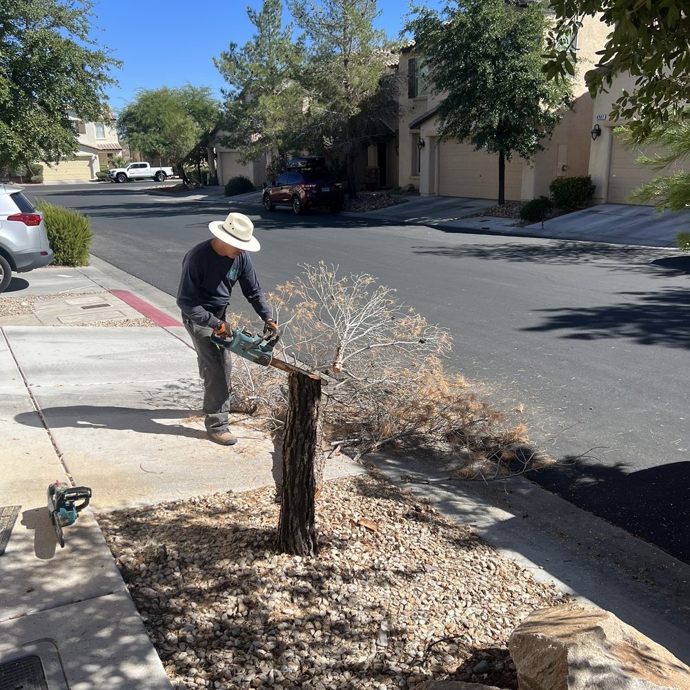 AAA Landscaping - Landscaping Near Me - Henderson, Nevada AAA Landscaping - Landscaping Near Me - Henderson, Nevada
