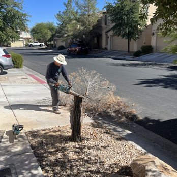 AAA Landscaping - Landscaping Near Me - Henderson, Nevada