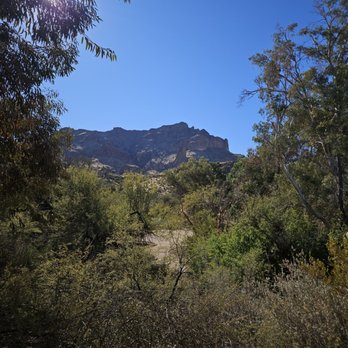 Boyce Thompson Arboretum - Botanical Gardens Near Me - Superior, Arizona
