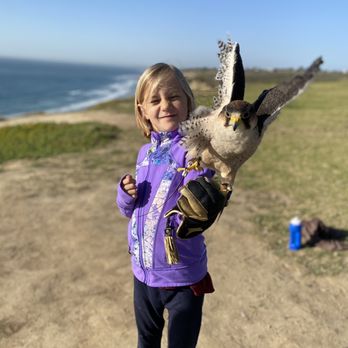 Total Raptor eXperience - My six year old, the launch pad - Specialty Schools Near Me - La Jolla, California