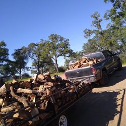 Firewood Guys Of lincoln