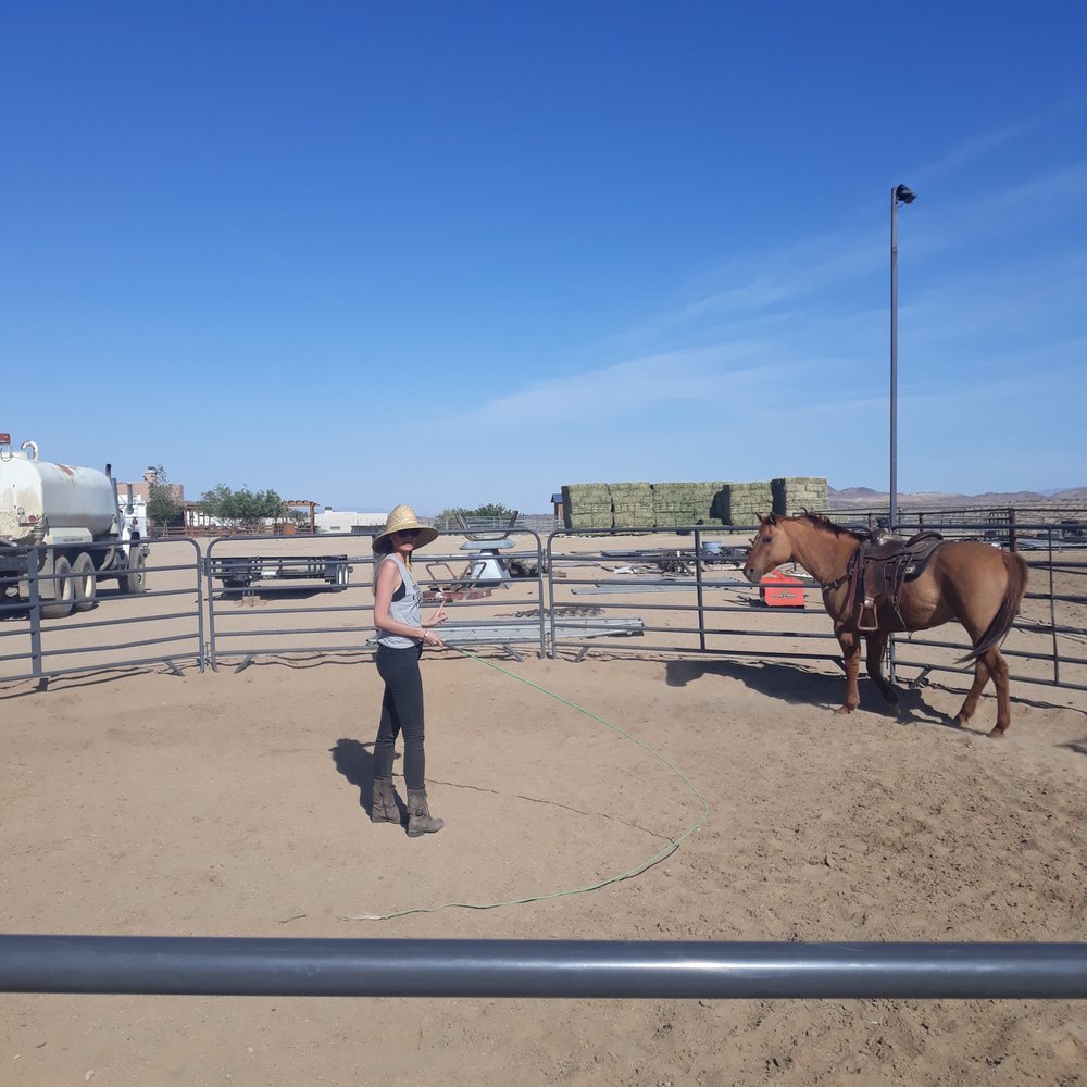 Lawsons Training & Education - Horseback Riding Near Me