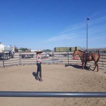Lawsons Training & Education - Horseback Riding Near Me Lawsons Training & Education - Horseback Riding Near Me